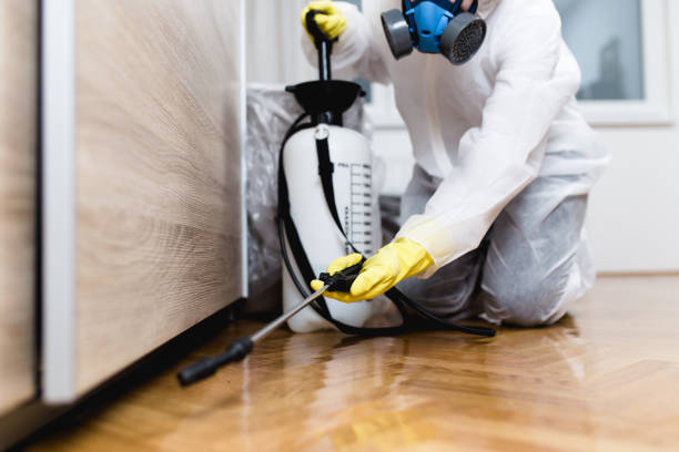Best Affordable Pest Control Services  in Garden City, NY