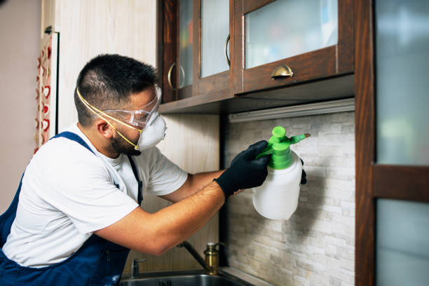 Best Flea Control Services  in Garden City, NY