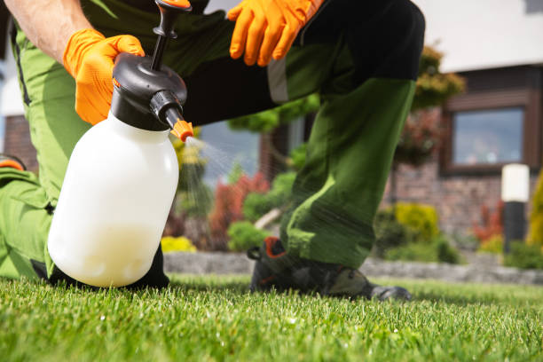 Best Wildlife Control Services  in Garden City, NY