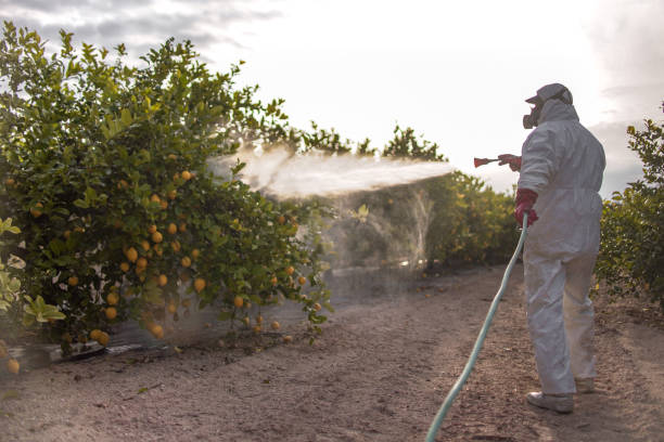 Best Affordable Pest Control Services  in Garden City, NY