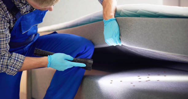 Best Bed Bug Extermination  in Garden City, NY