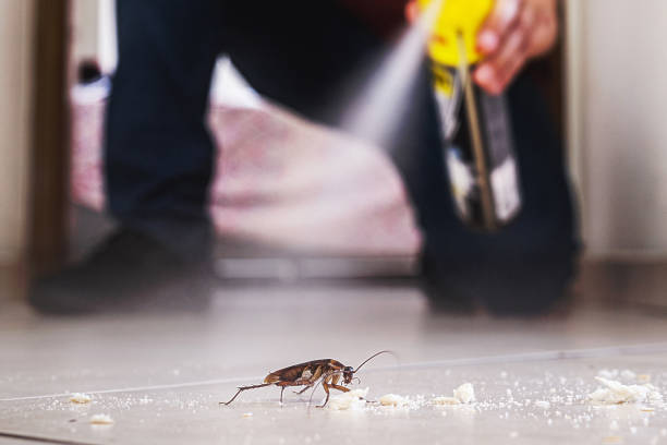 Best Exterminator Services  in Garden City, NY