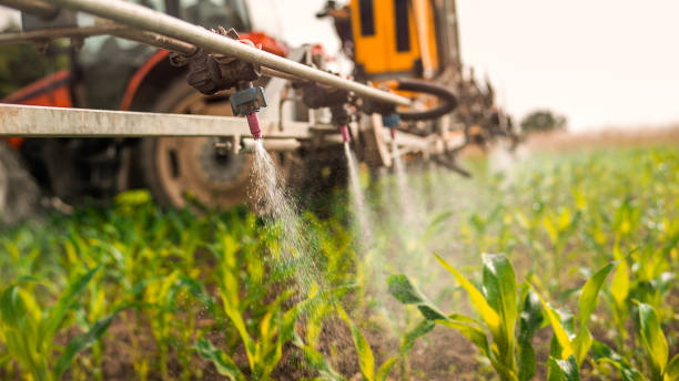 Best Local Pest Control Services  in Garden City, NY